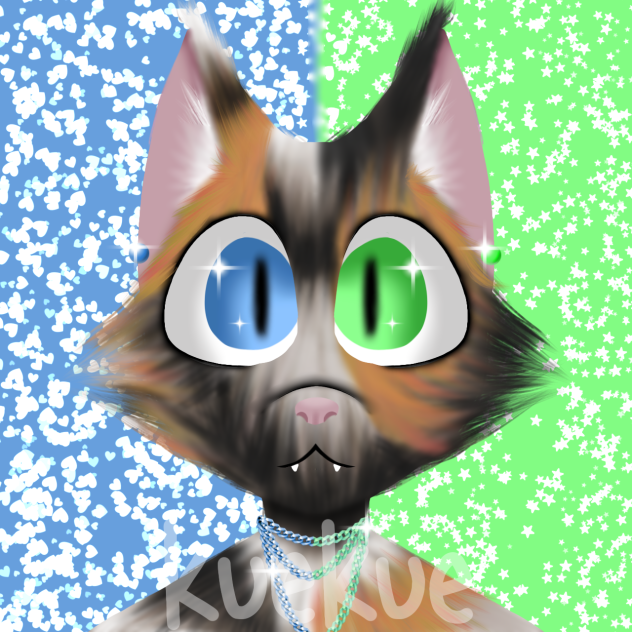 Kaliko