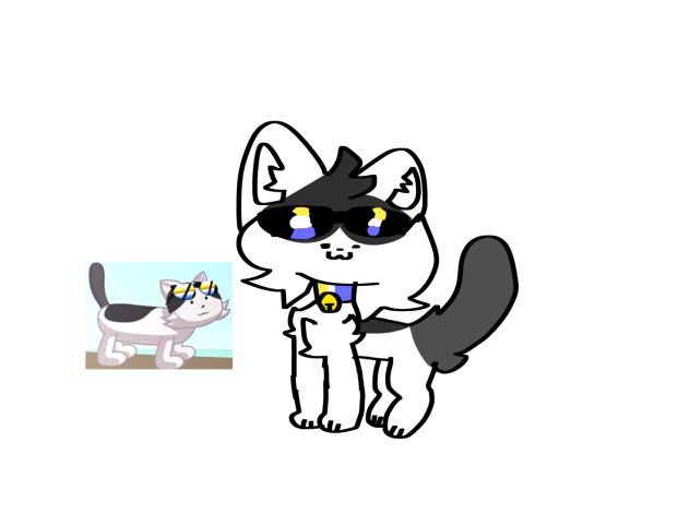 NINES CAT🥲