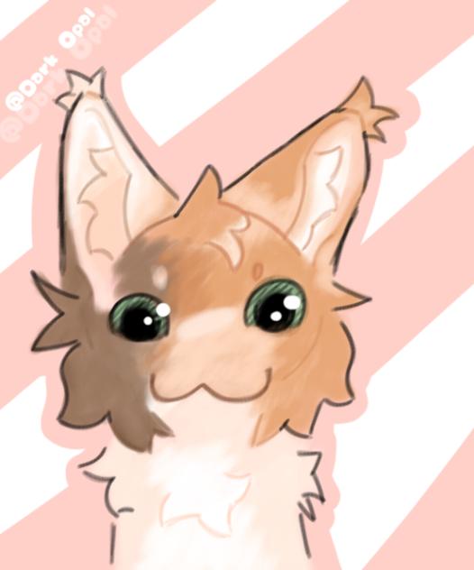 lil cat doodle ;3