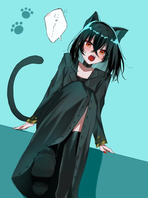 🐈‍⬛