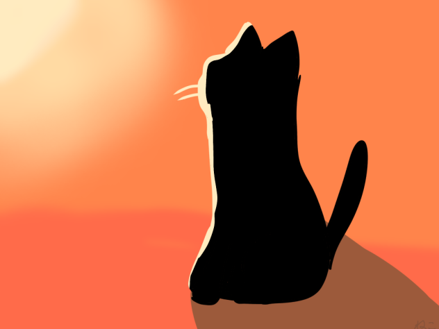 猫