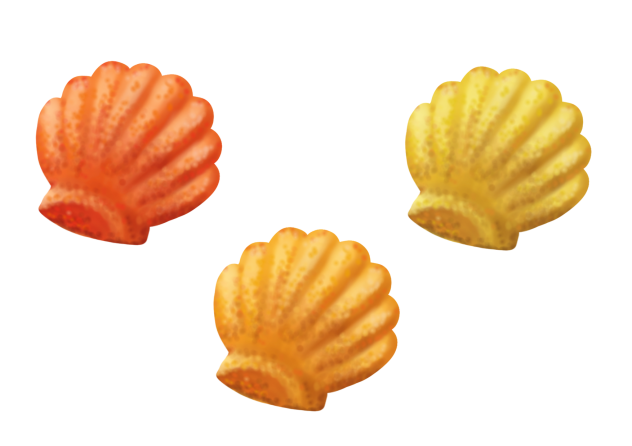 マドレーヌ トリオ