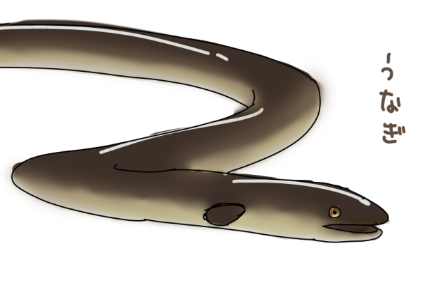 うなぎ