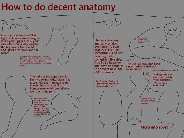 Decent Anatomy Tutorial