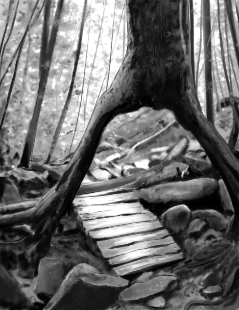 Tree hollow pathway 1