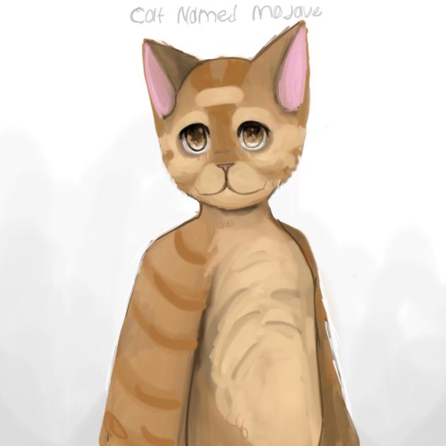 Cat named Mojave