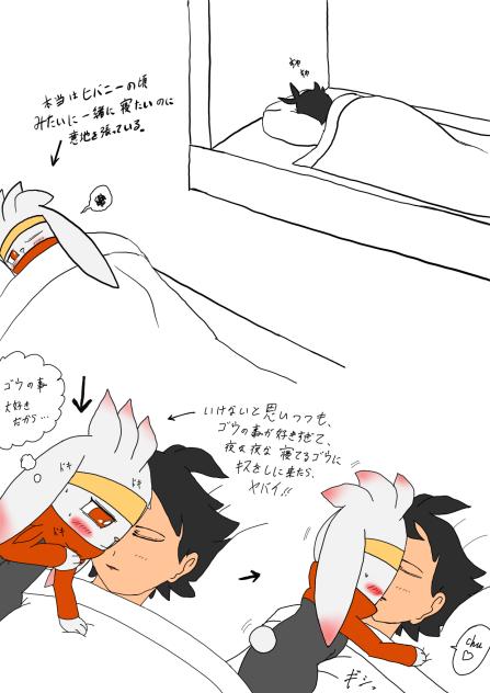 ポケモン　ゴウとラビフット3