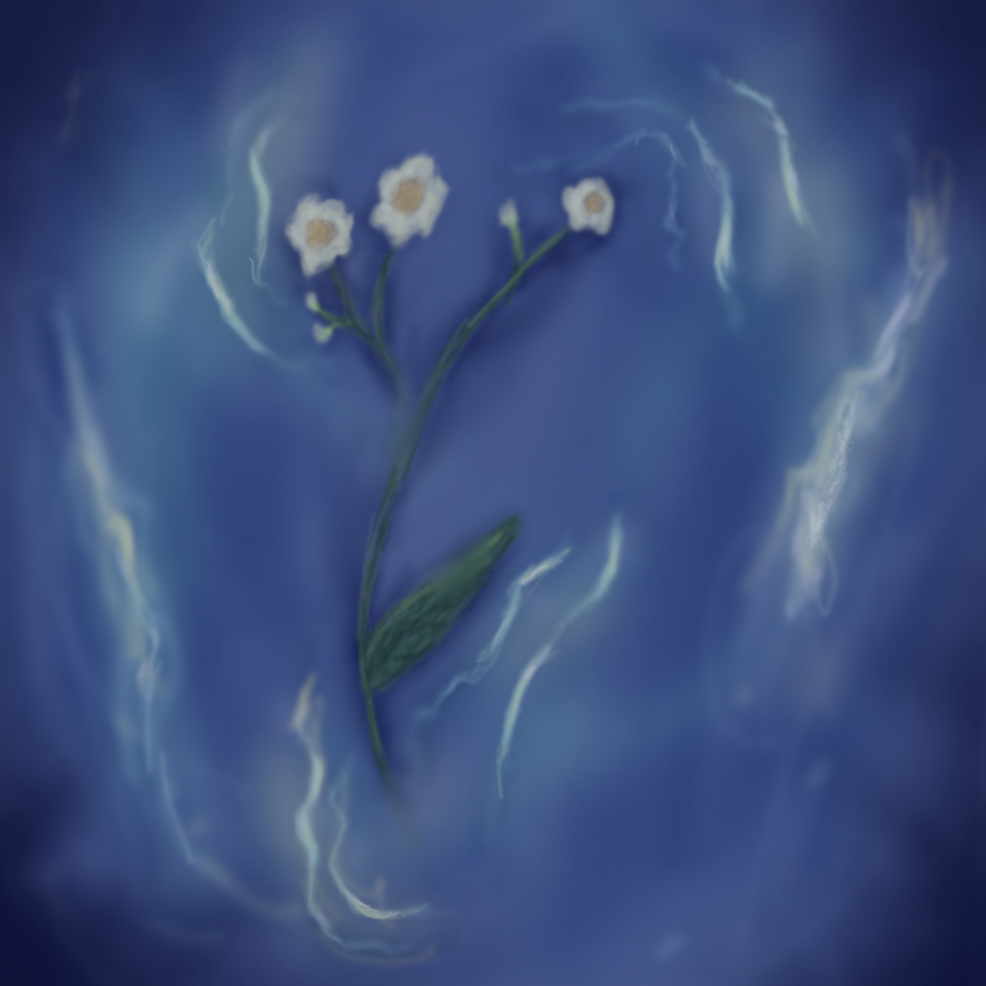 Drifting 🌼 - ibisPaint