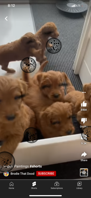 Not my puppy’s but there are cute