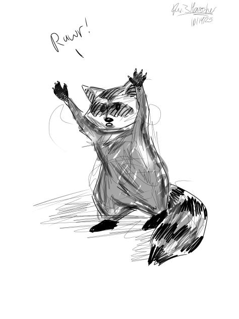 Raccoon