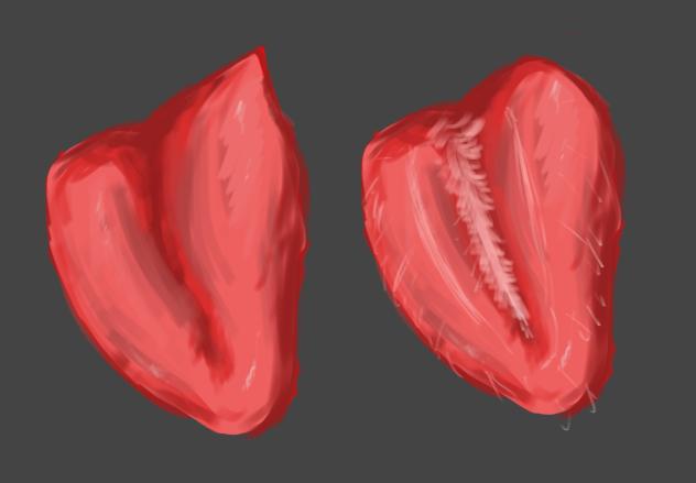Tongue or strawbeery