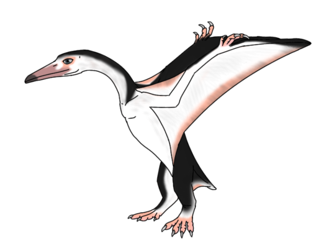 Common Fouguim render