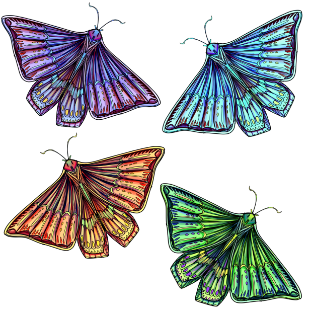 insect 1 - ibisPaint