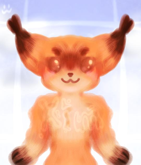 a lil fox