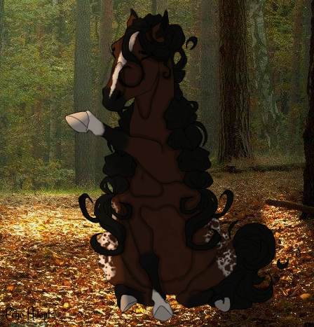 `` Hi there, Im Calypso! ``