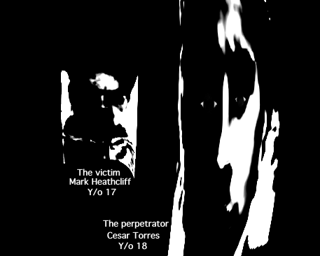 Redesigned (Mandela Catalogue)