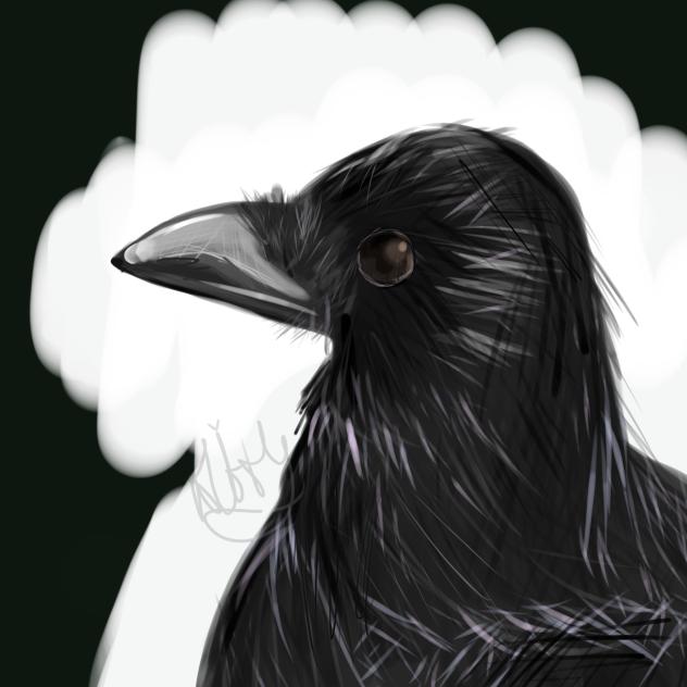 Bird what more can I say
