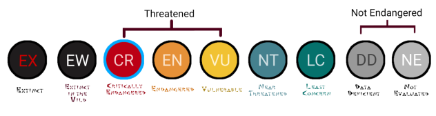 IUCN Red List EarResp, Crit End