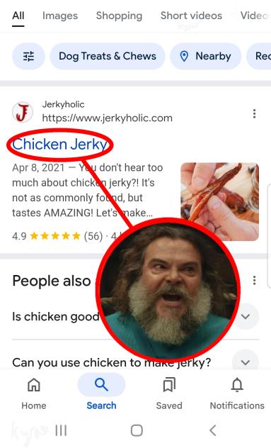 CHICKEN JOCKEY name sound-alike meme