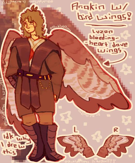Anakin with bird wings!!!