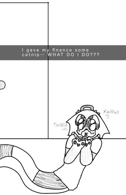 Catnip..