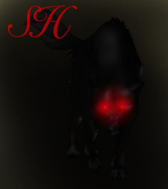 In the dark