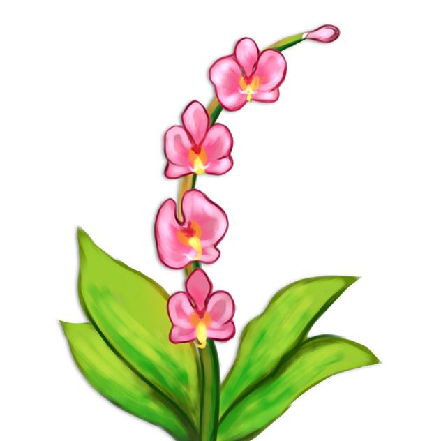 Orchid (no frame)