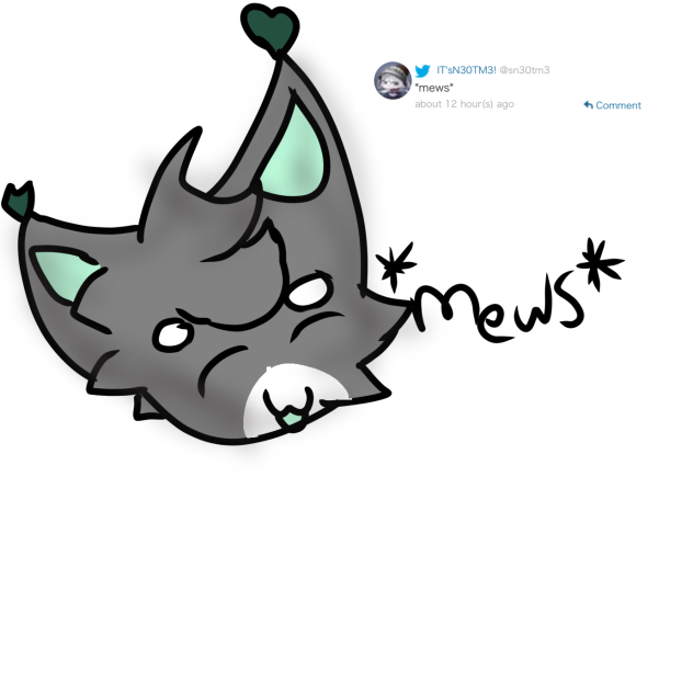 N30 saying mew