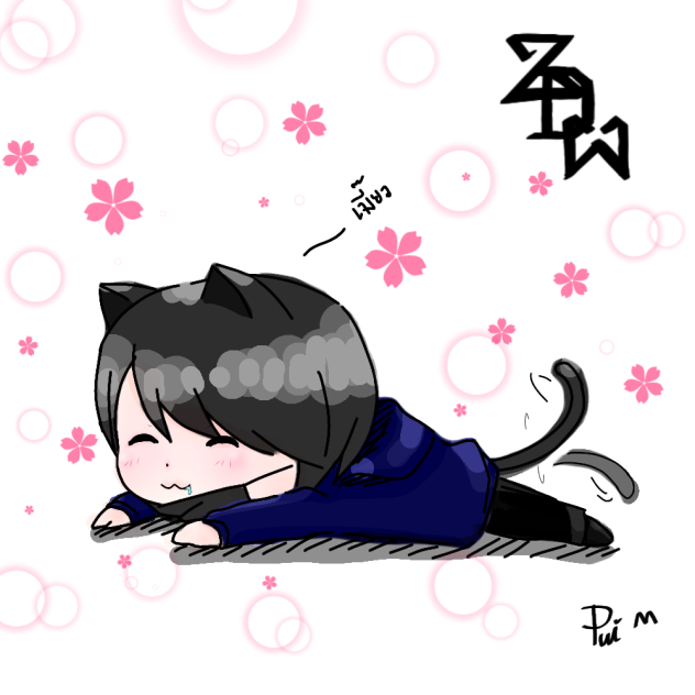 Cat ZDW