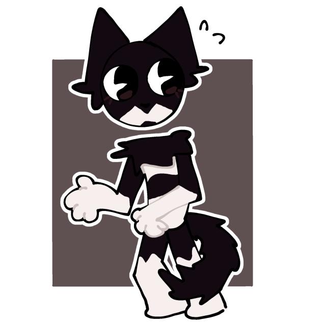 коти