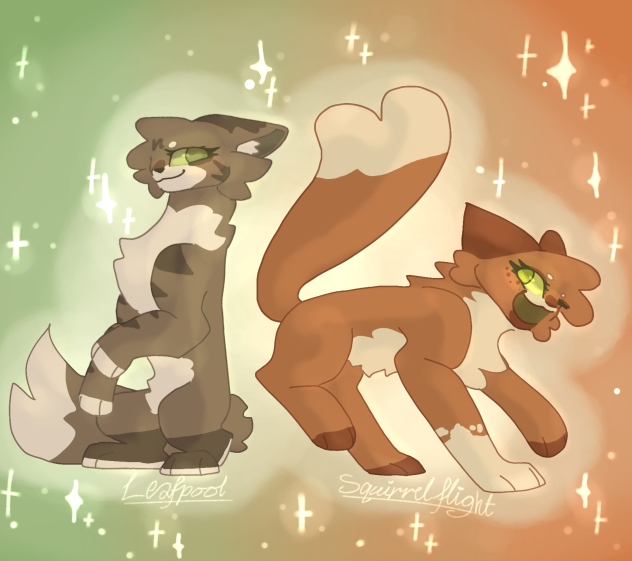 WC Duo #1