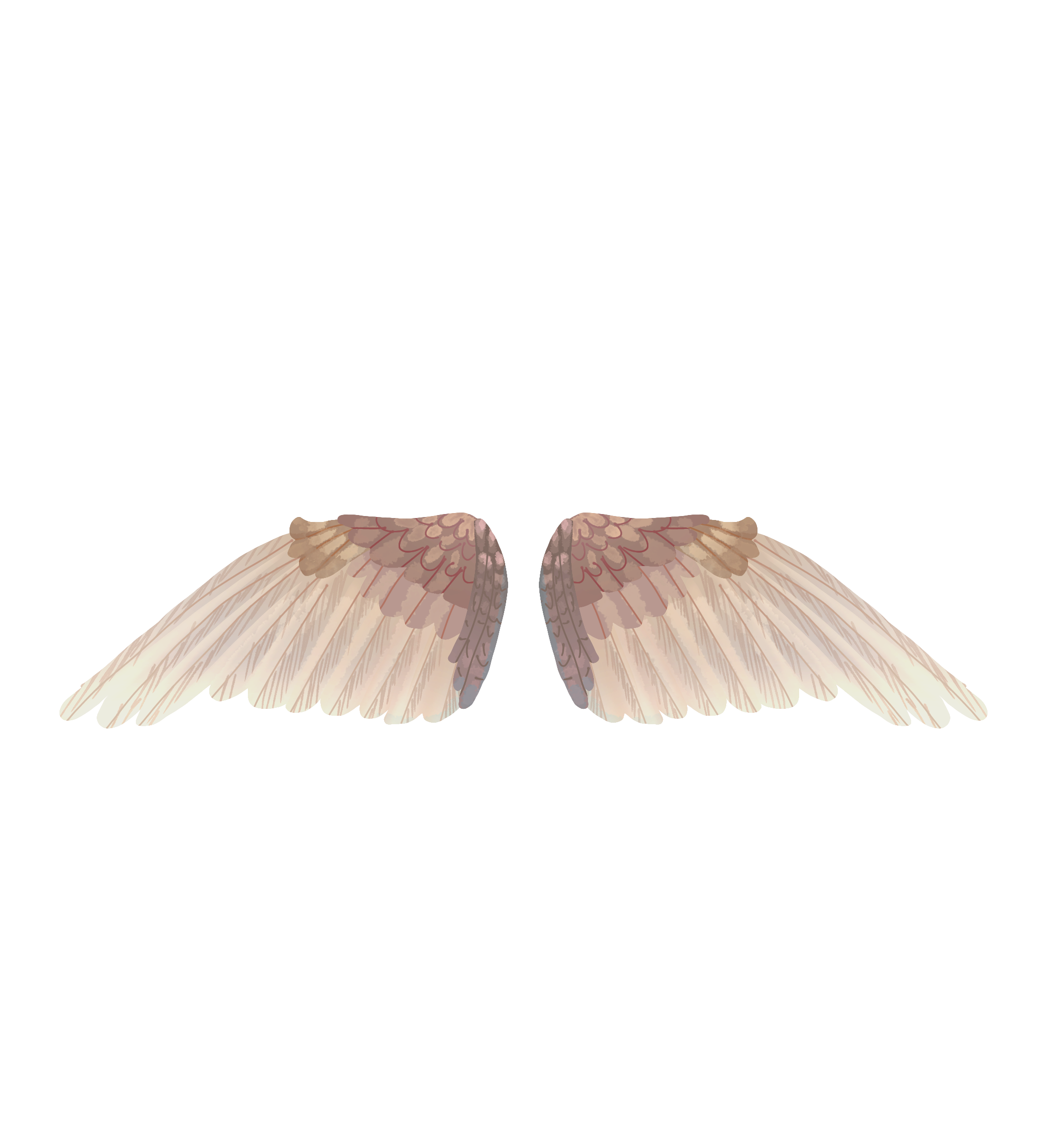 wings - ibisPaint