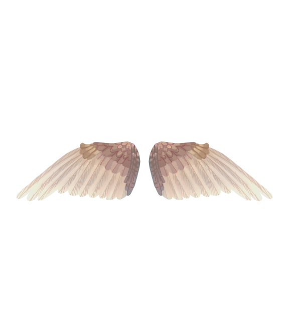 wings - ibisPaint