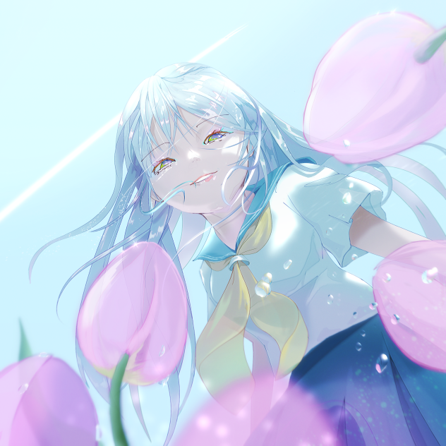 Tulip field