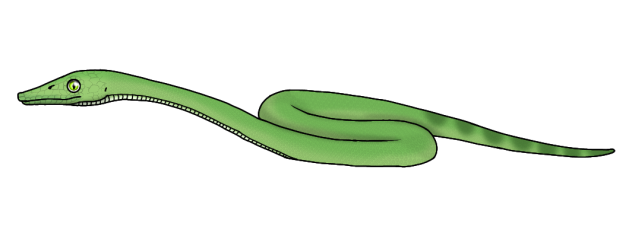 Common Nectar Snake render