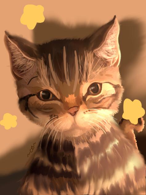 Cat WIP