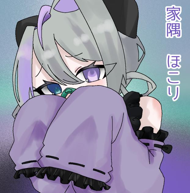 家隅ほこり