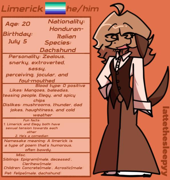 Limerick info sheet