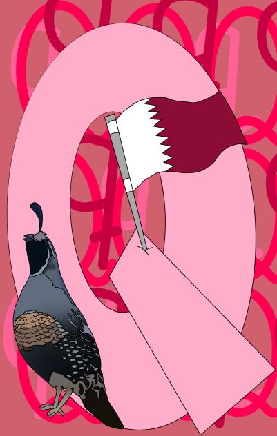 Letter Q for quail and qatar