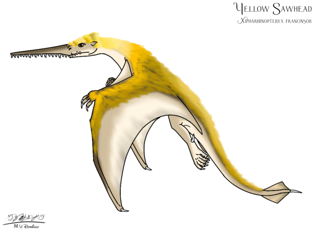 Yellow Sawhead