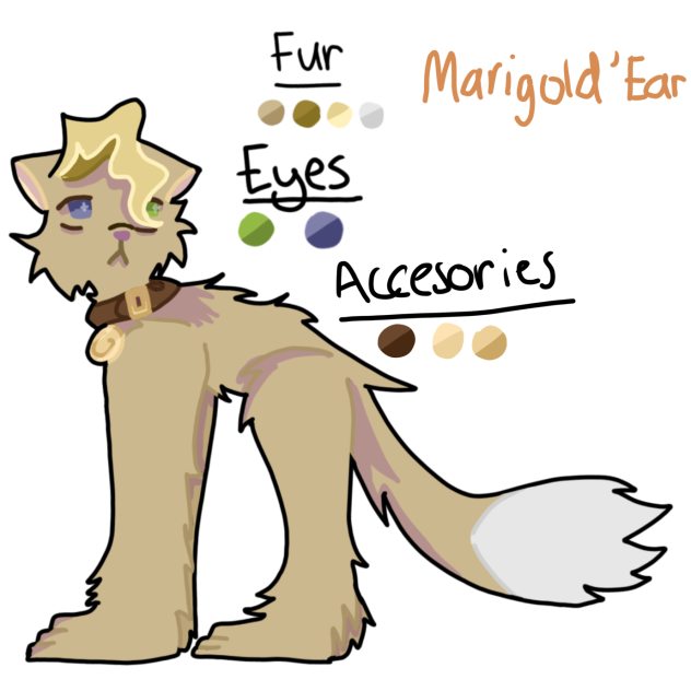Warrior cats persona