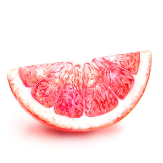 Grapefruit Slice