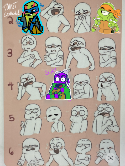 Turtle collab