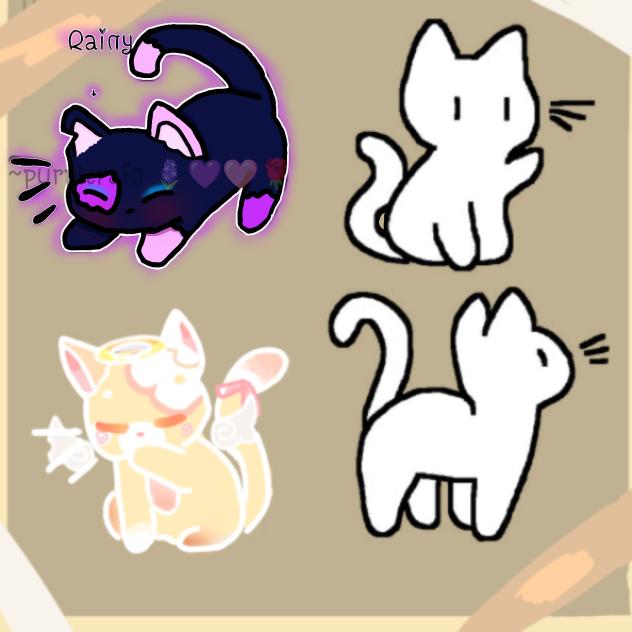 Kitty collab with Destila