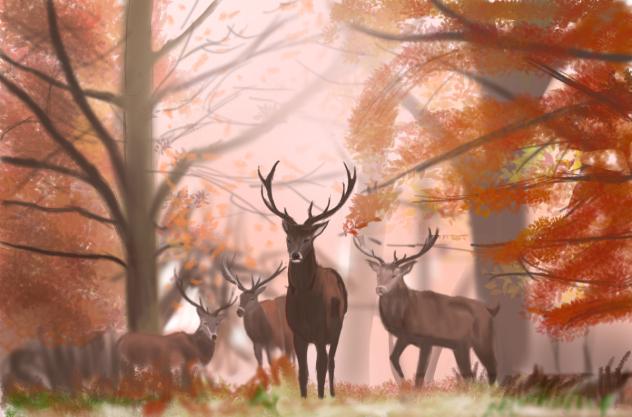 autumn crown