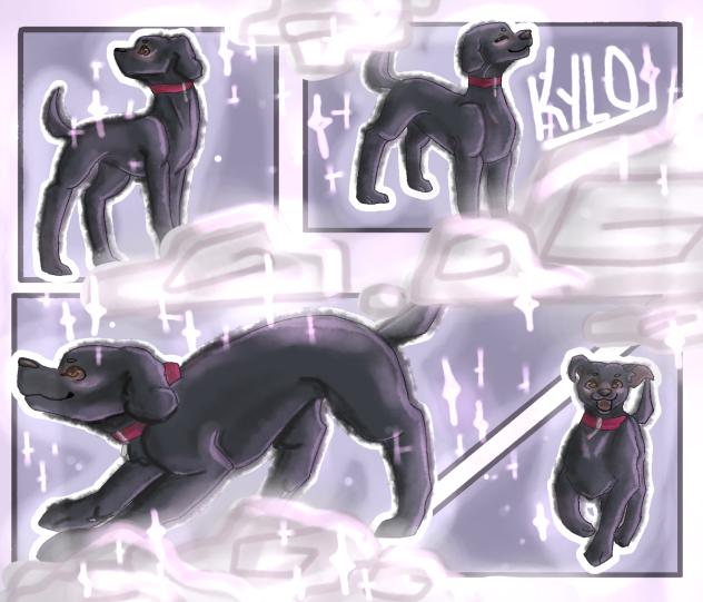 DTIYS For Kylo!