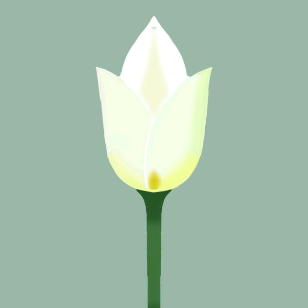 white flowers!