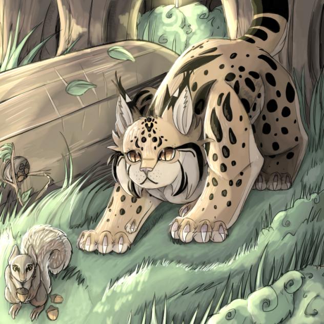 🐱 Lynx and squirrel 🐿️