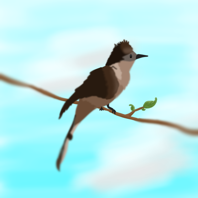Bird - ibisPaint
