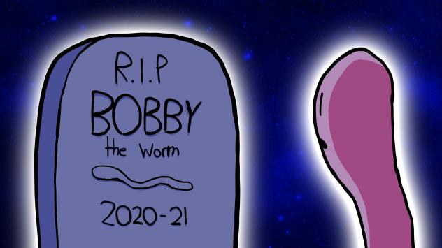 Dead Bobby!